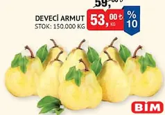 DEVECİ ARMUT KG DEVECİ ARMUT KG